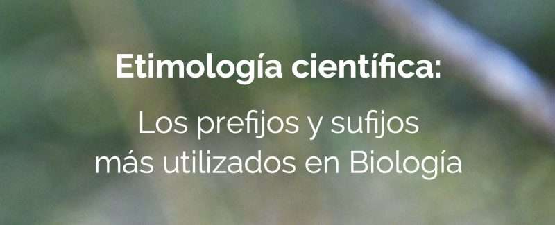 Imprimibles 17 Etimologia cientifica Los prefijos y sufijos mas utilizados en biologia