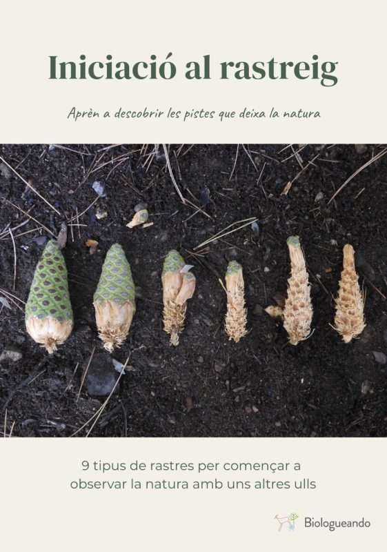 Iniciació al rastreig: aprèn a descobrir les pistes que deixa la natura 3 Ebook inicacio al rastreig