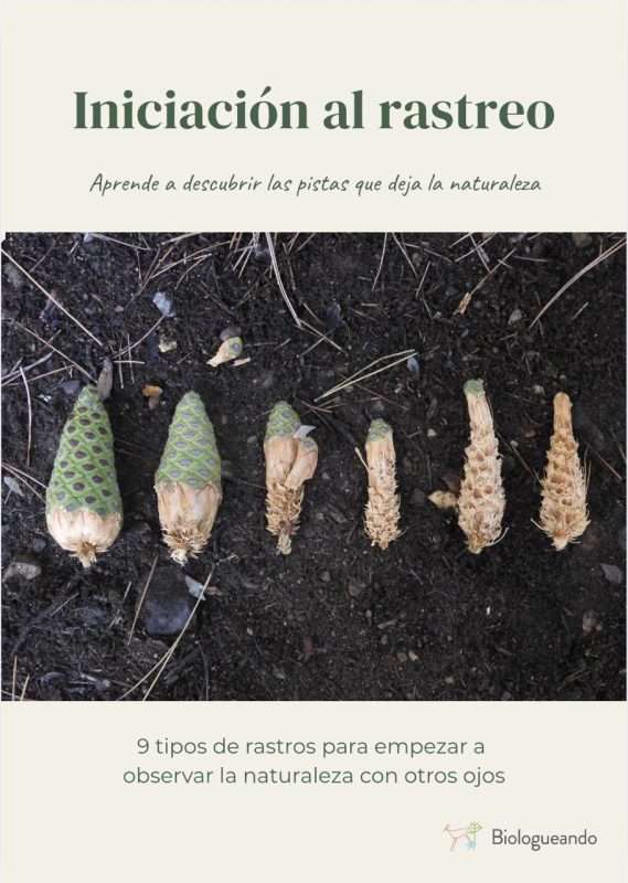 Ebook iniciacion al rastreo